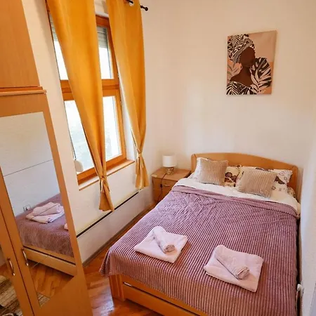 公寓 Ilic 索科矿泉村